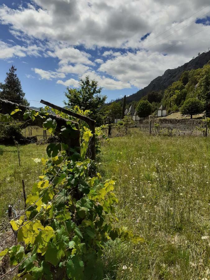 Penedino Mountain Cottage Arcos de Valdevez Bagian luar foto